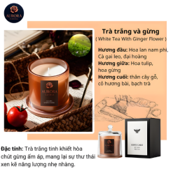White Tea & Ginger - Trà trắng & Gừng
